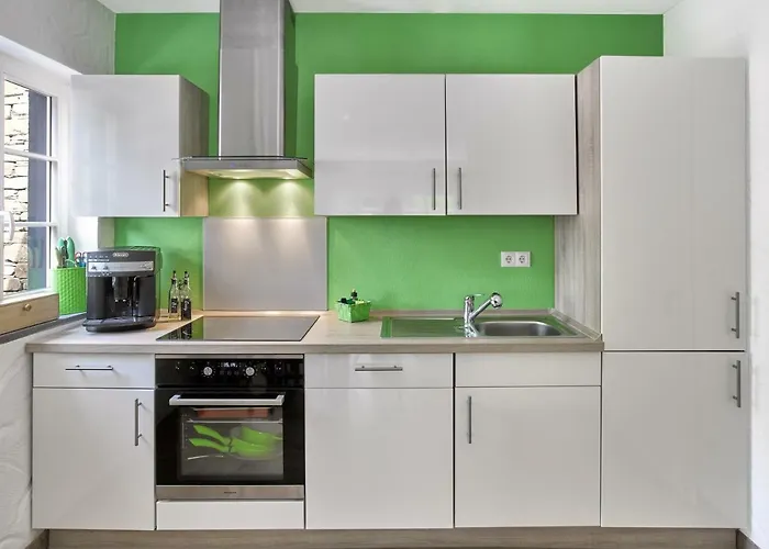 公寓 Rhein-mosel-ferienhaus *